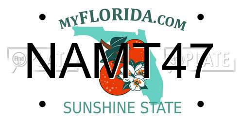 NAMT47 Florida License Plate