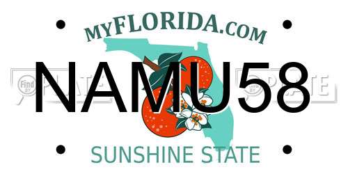 NAMU58 Florida License Plate