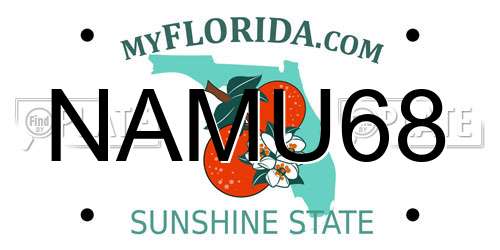 NAMU68 Florida License Plate