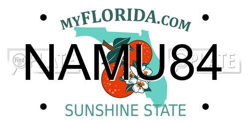 NAMU84 Florida License Plate