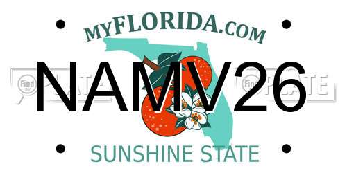 NAMV26 Florida License Plate