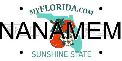 NANAMEM Florida License Plate