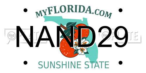 NAND29 Florida License Plate