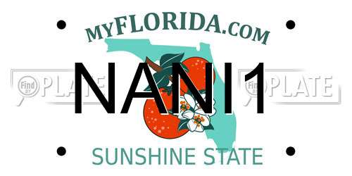 NANI1 Florida License Plate