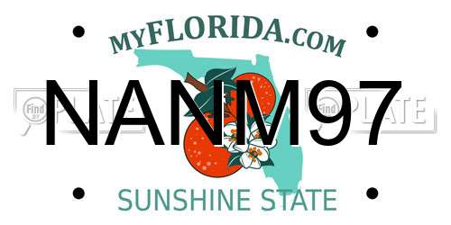 NANM97 Florida License Plate