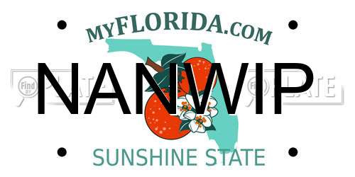 NANWIP Florida License Plate