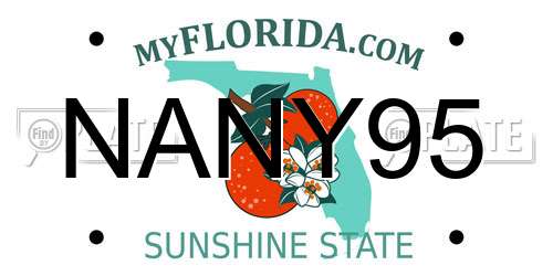 NANY95 Florida License Plate
