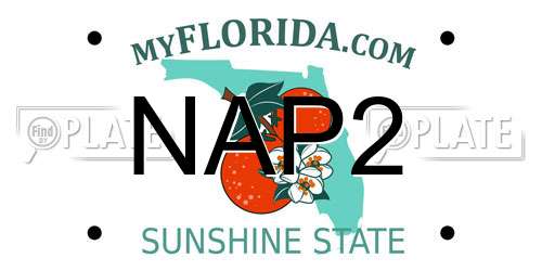 NAP2 Florida License Plate