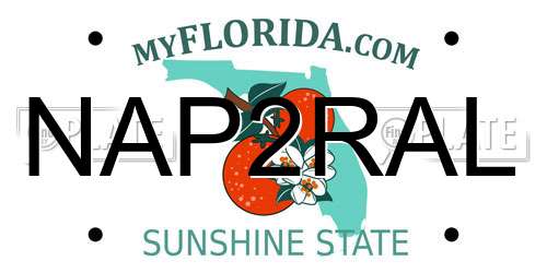 NAP2RAL Florida License Plate