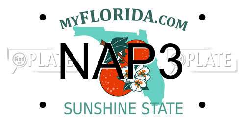 NAP3 Florida License Plate