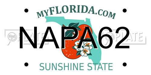 NAPA62 Florida License Plate