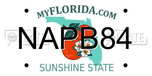 NAPB84 Florida License Plate