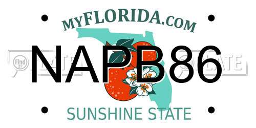 NAPB86 Florida License Plate
