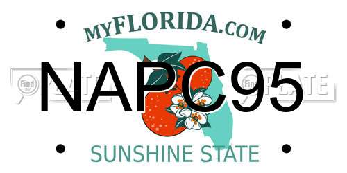 NAPC95 Florida License Plate