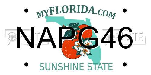 NAPG46 Florida License Plate