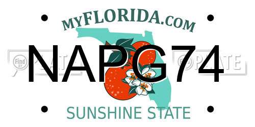 NAPG74 Florida License Plate