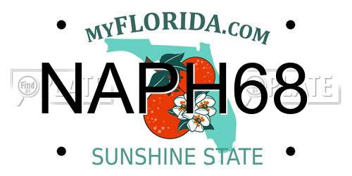 NAPH68 Florida License Plate