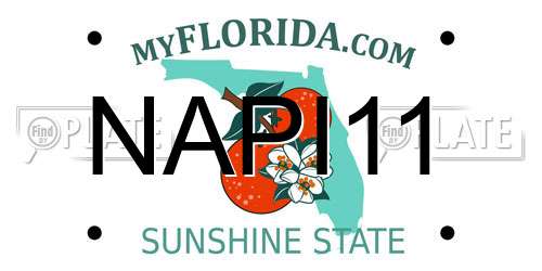 NAPI11 Florida License Plate