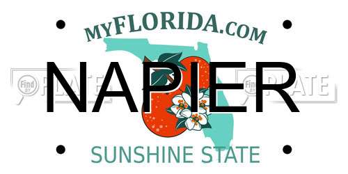 NAPIER Florida License Plate