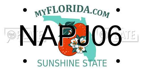 NAPJ06 Florida License Plate