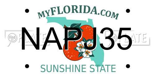 NAPJ35 Florida License Plate