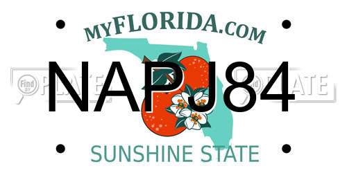 NAPJ84 Florida License Plate
