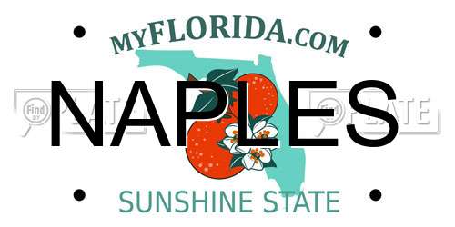 NAPLES Florida License Plate