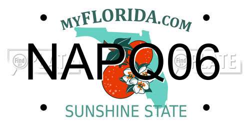 NAPQ06 Florida License Plate