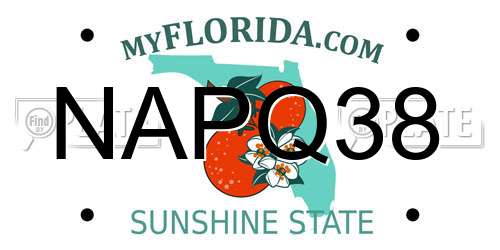 NAPQ38 Florida License Plate