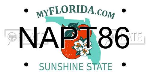 NAPT86 Florida License Plate