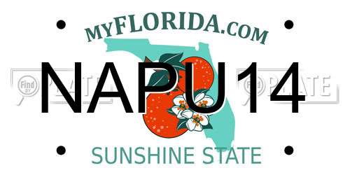 NAPU14 Florida License Plate