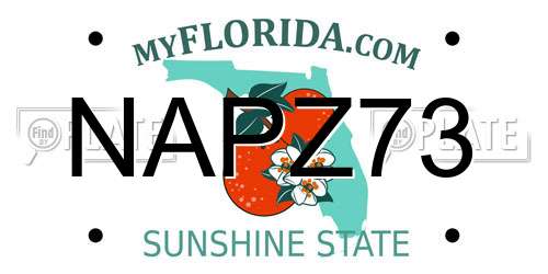 NAPZ73 Florida License Plate