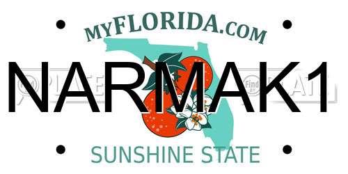 NARMAK1 Florida License Plate