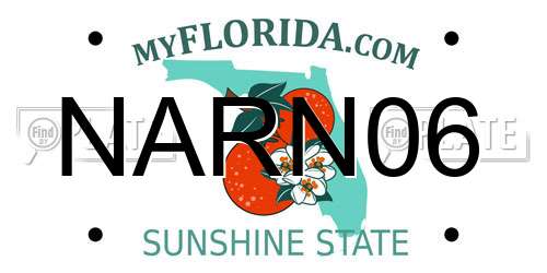 NARN06 Florida License Plate