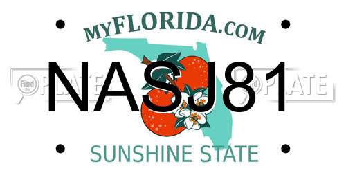 NASJ81 Florida License Plate