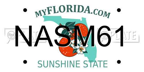 NASM61 Florida License Plate