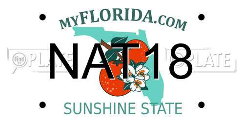 NAT18 Florida License Plate