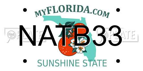 NATB33 Florida License Plate