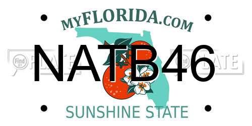 NATB46 Florida License Plate