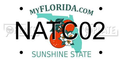NATC02 Florida License Plate