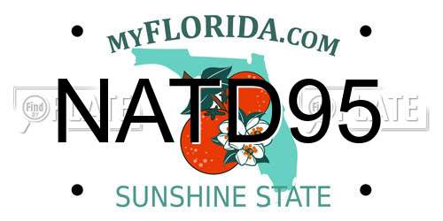 NATD95 Florida License Plate