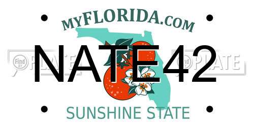 NATE42 Florida License Plate