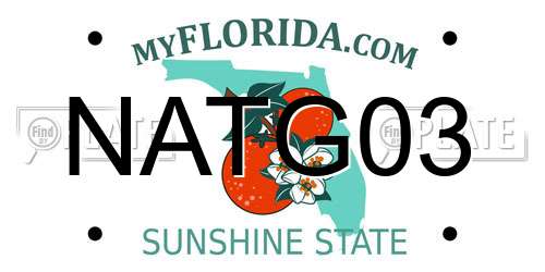 NATG03 Florida License Plate