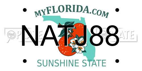 NATJ88 Florida License Plate