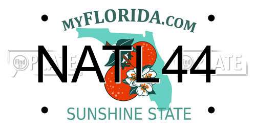 NATL44 Florida License Plate