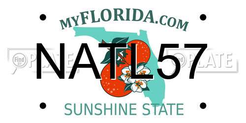 NATL57 Florida License Plate