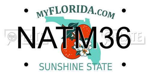 NATM36 Florida License Plate
