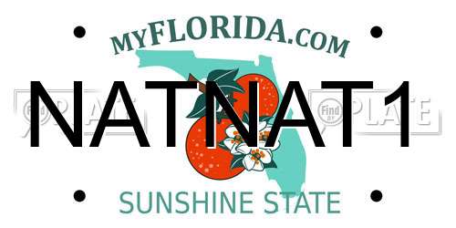 NATNAT1 Florida License Plate