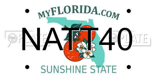 NATT40 Florida License Plate
