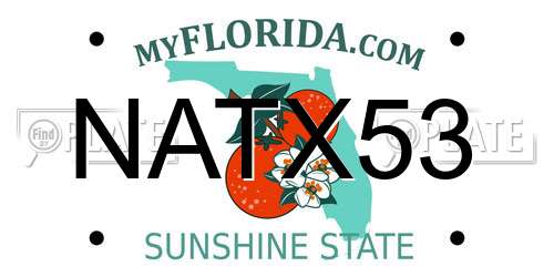 NATX53 Florida License Plate